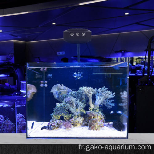 Lumières pour aquarium planté